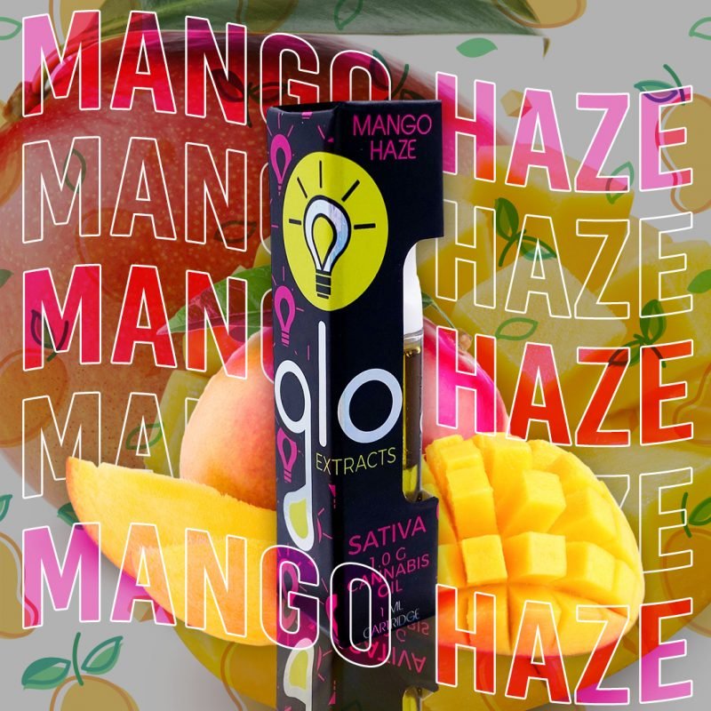 Glo Mango Haze