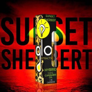 Glo Sunset Sherbert